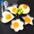 Tanice MJ-01ステアリングスチール卵焼き/厨房創意DIY小道具卵焼き5点セット