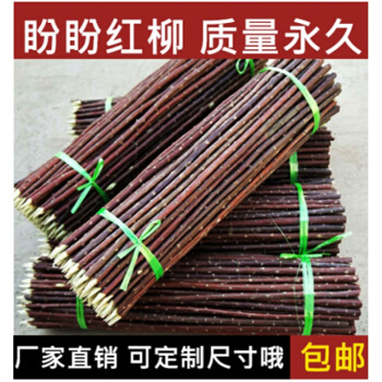 本場新疆の紅柳焼きは紅柳の枝にサインして、赤柳の木焼き串100本の30-50 cm 40 cm 500本の太さ（0.4-0.6 CM）に署名します。